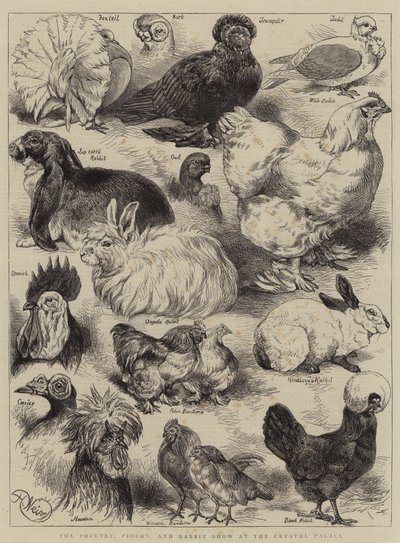 La exposición de aves de corral, palomas y conejos en el Crystal Palace de Harrison William Weir